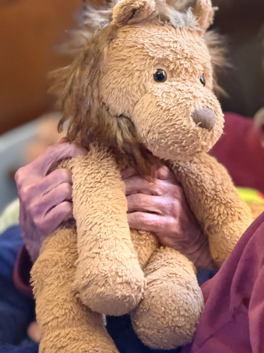 The castaways of Dementia Care Island!