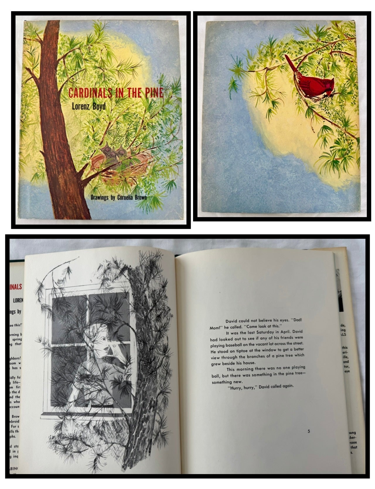 Cardinals in the Pine by Lorenz Boyd, Drawings by Cornelia Brown