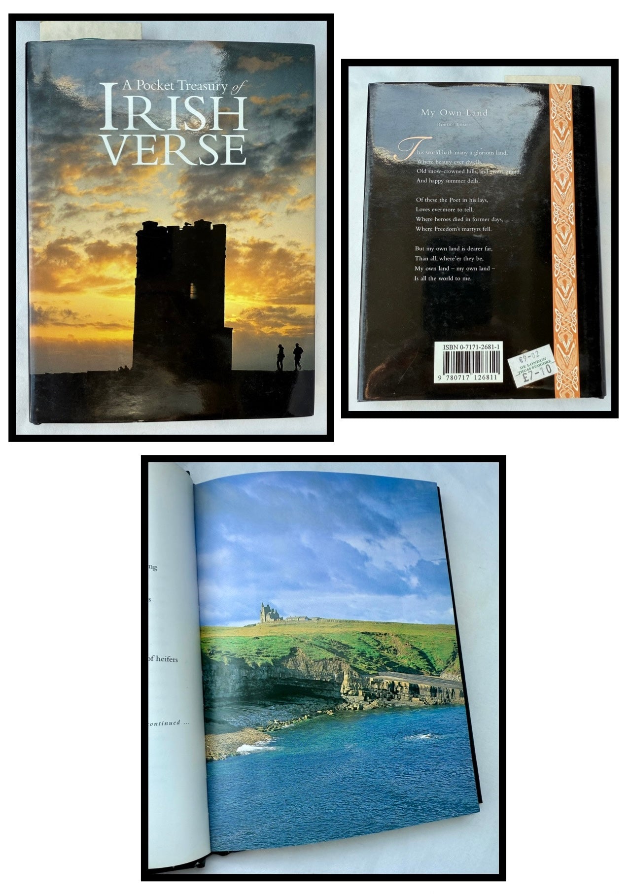 A Pocket Treasury of Irish Verse