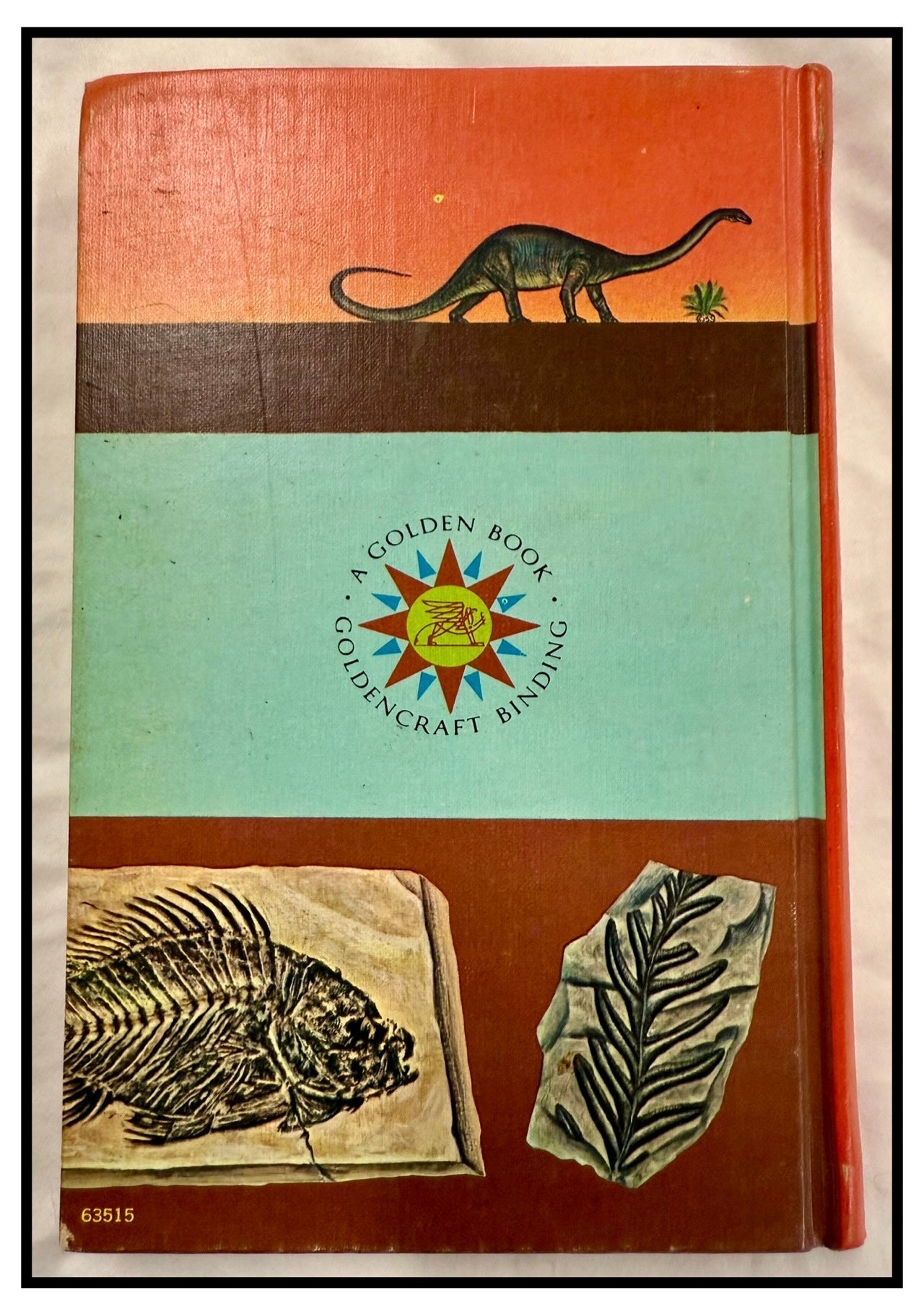 Fossils: A Guide to Prehistoric Life (A Golden Nature Guide)