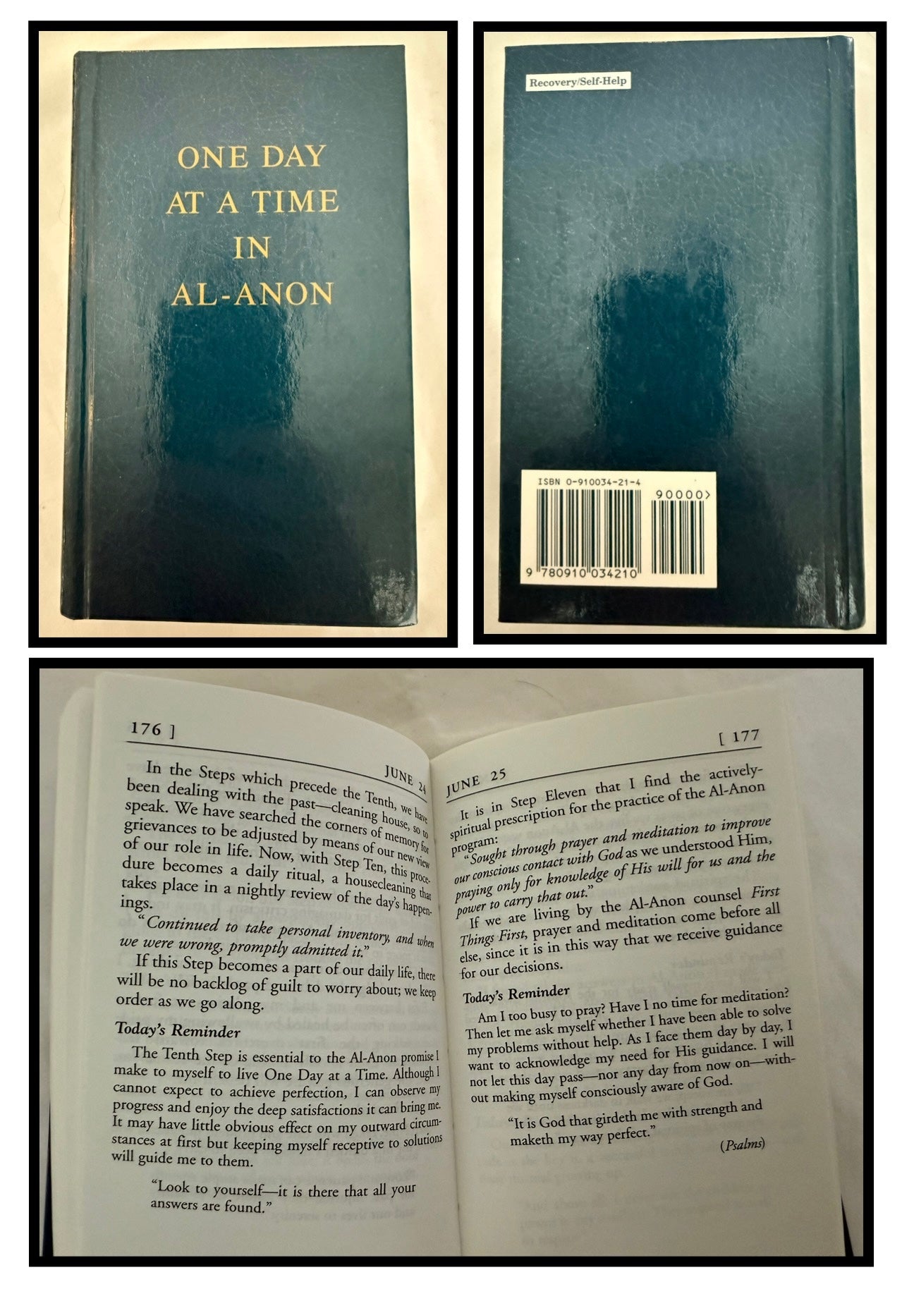 One Day at a Time in Al-Anon