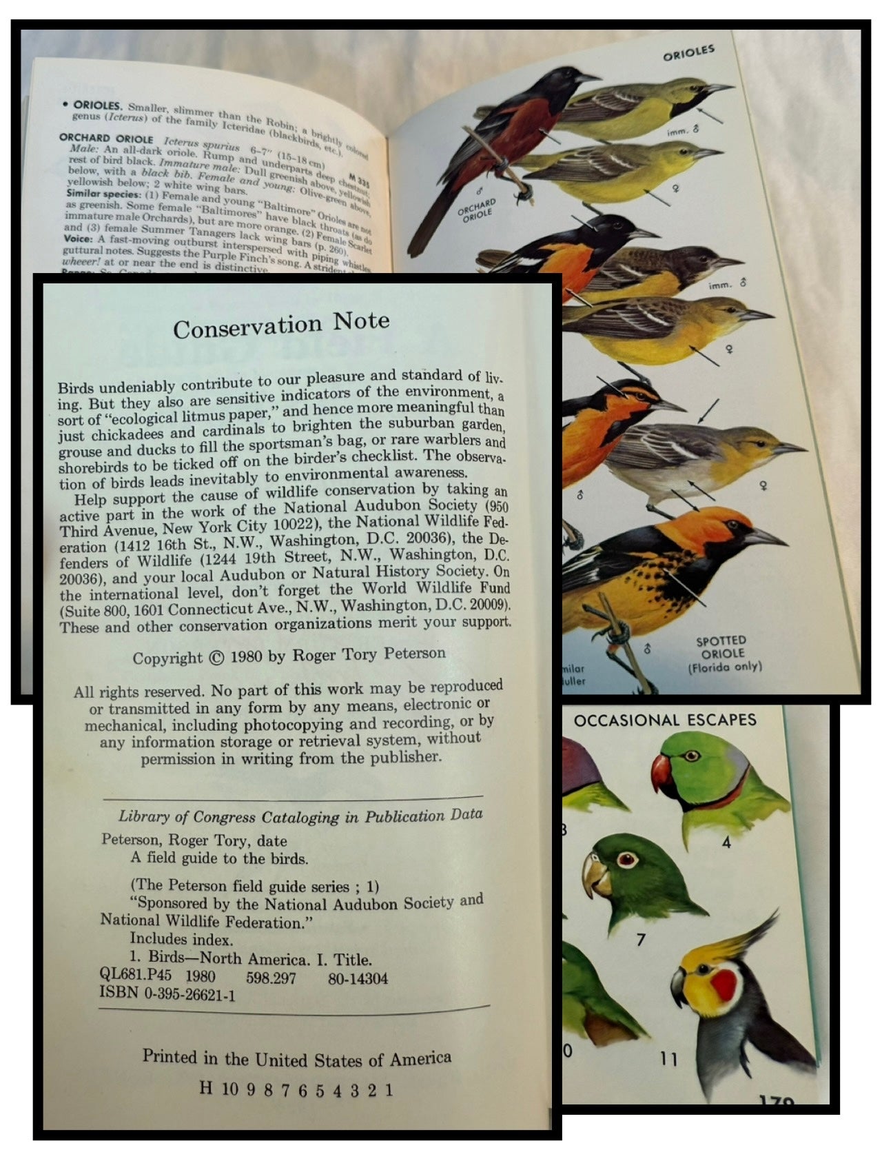 A Field Guide to the Birds by Roger Tory Peterson (Signed by the author)