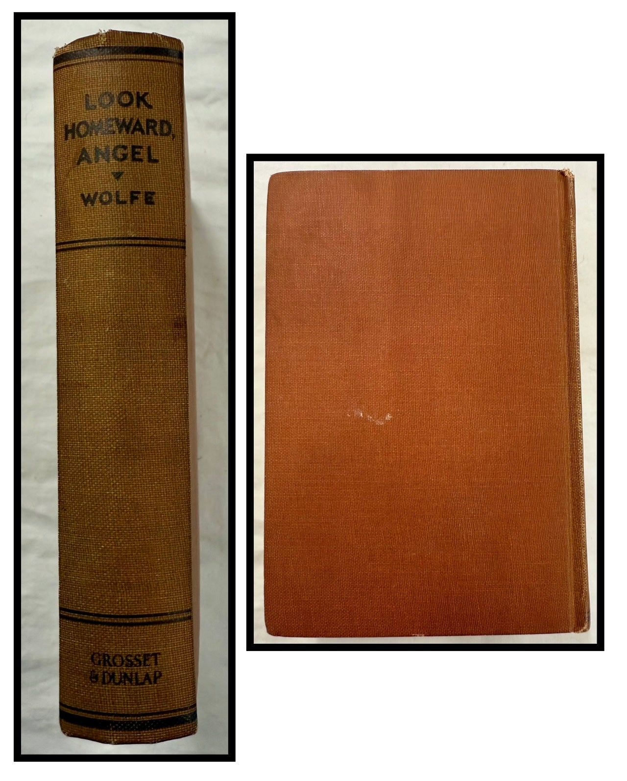 Look Homeward, Angel by Thomas Wolfe