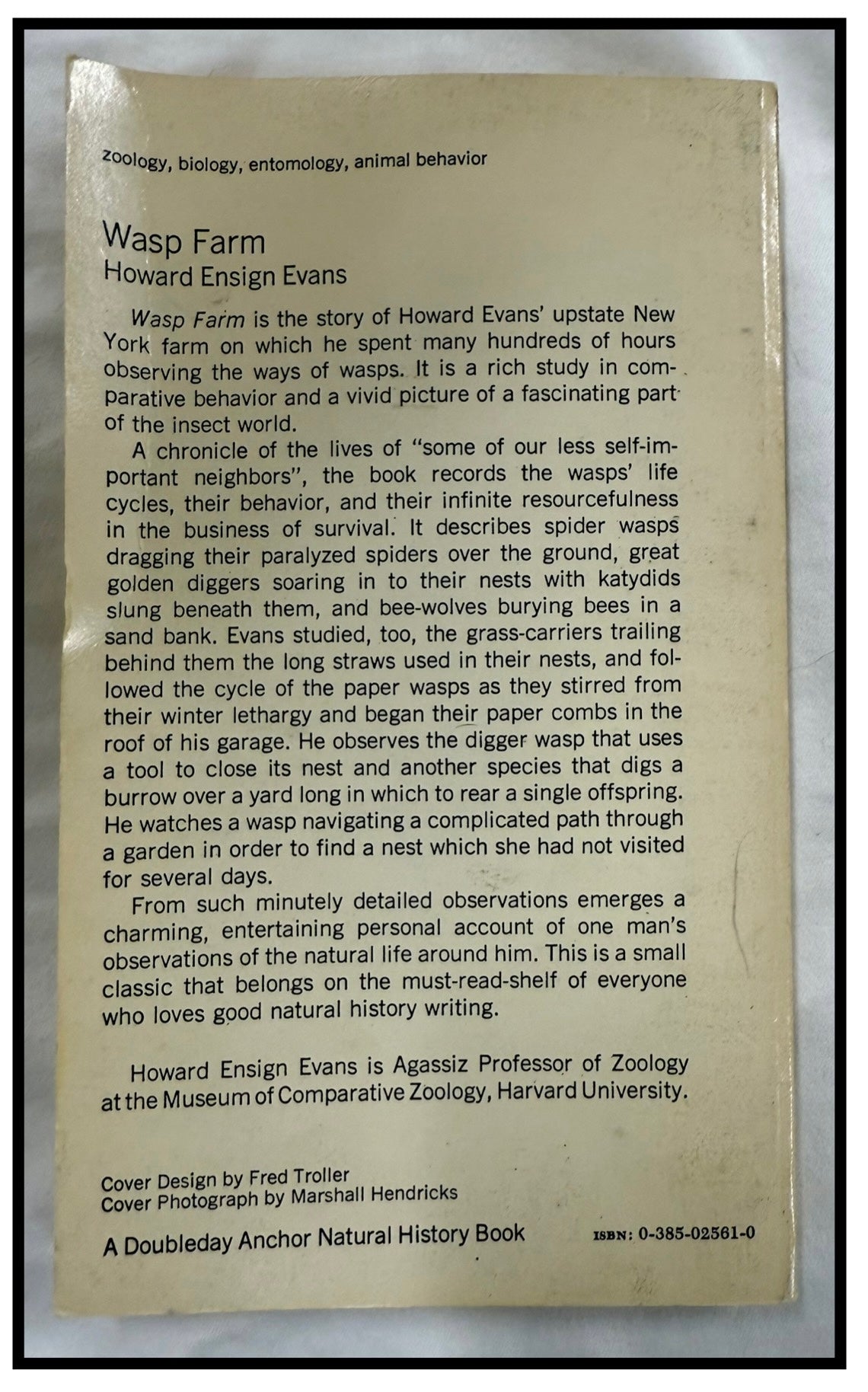 Wasp Farm by Howard Ensign Evans