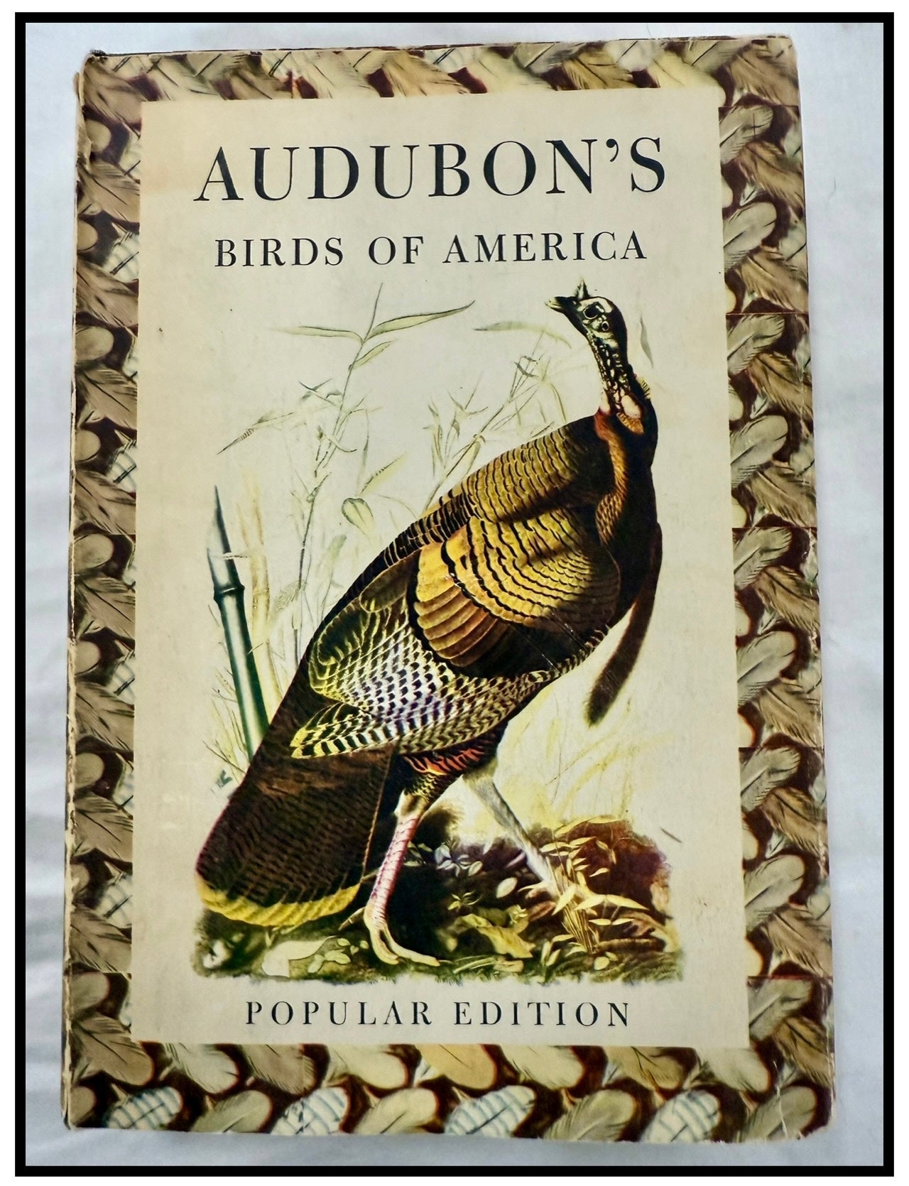 Audubon’s Birds of America