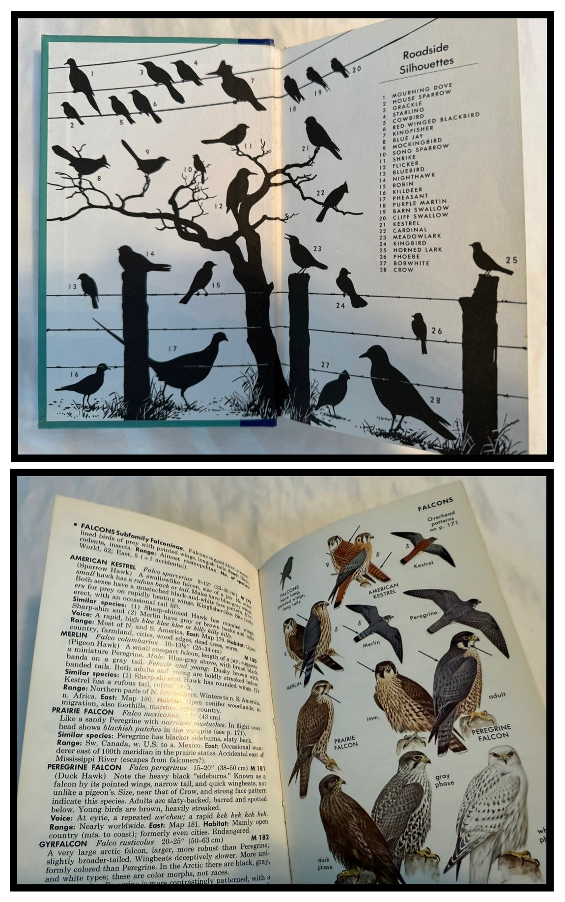 A Field Guide to the Birds by Roger Tory Peterson (Signed by the author)