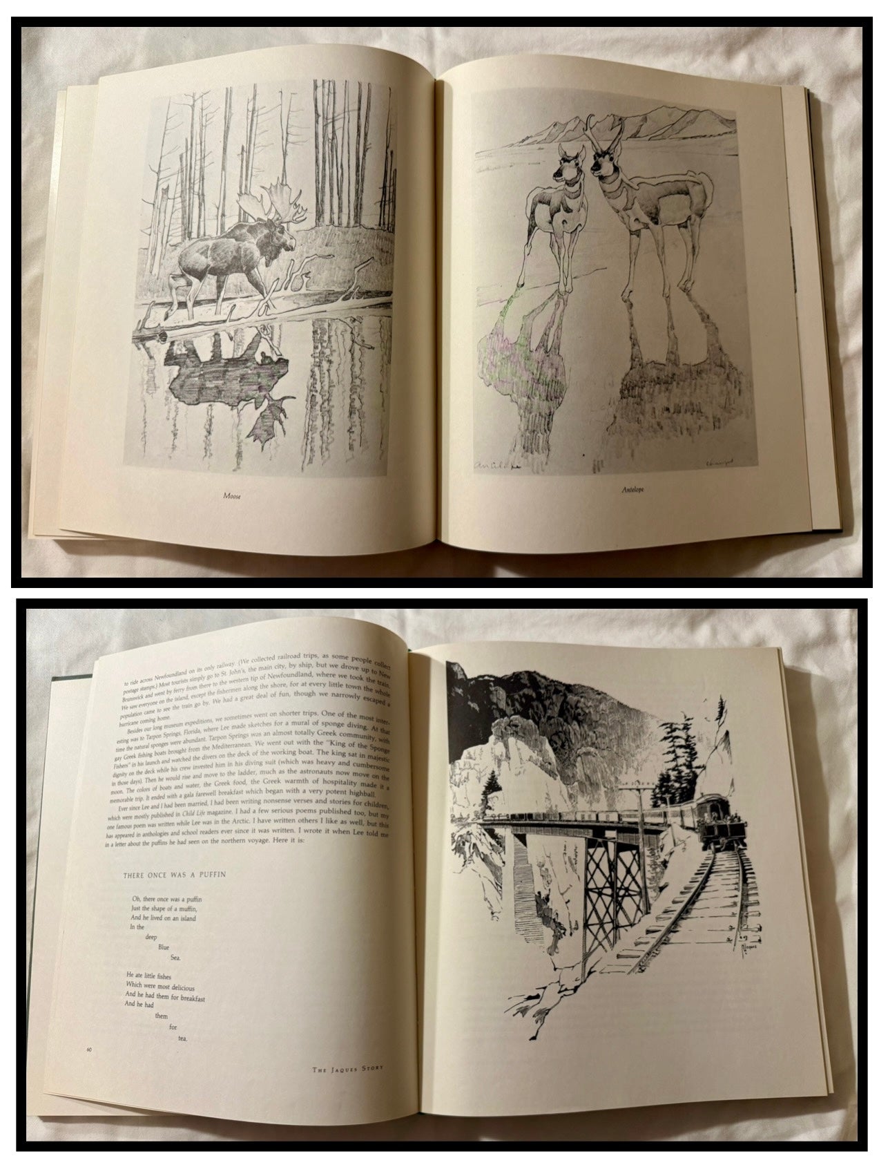 Artist of the Wilderness World (Francis Lee Jacques)