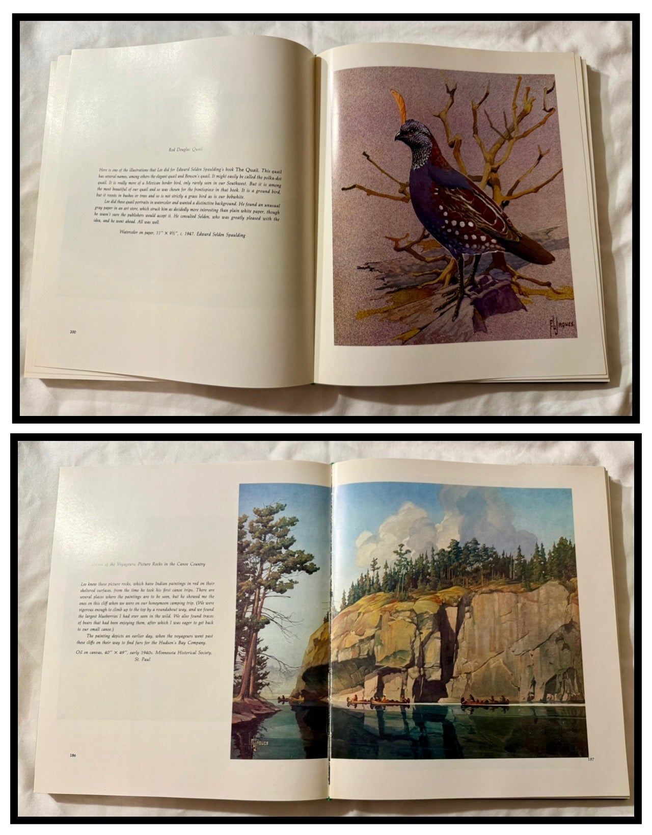 Artist of the Wilderness World (Francis Lee Jacques)