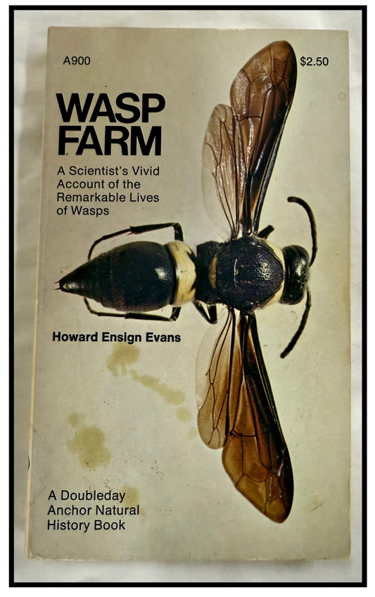 Wasp Farm by Howard Ensign Evans