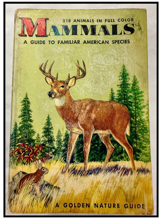 Mammals: A Guide to Familiar American Species