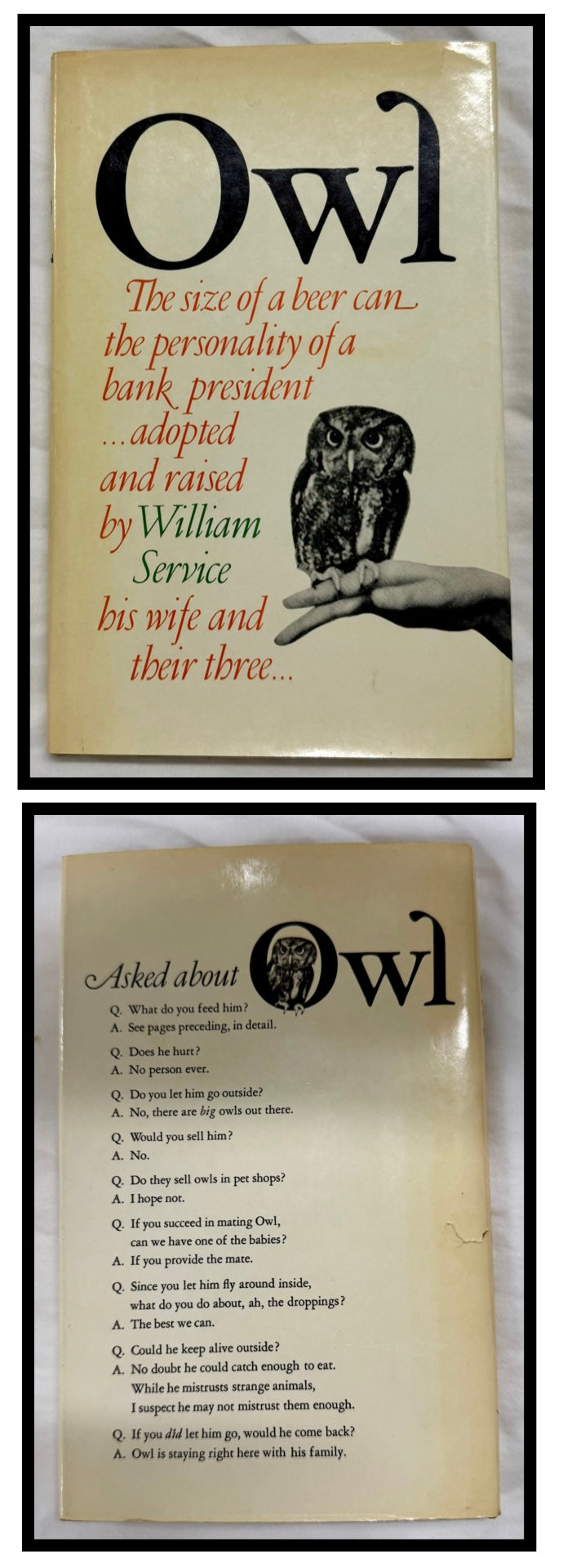 Owl by William Service